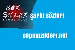 Gizo ft. Şenol Evgi – ÇOK ŞUKAR