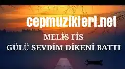 Melis Fis – Gülü Sevdim Dikeni Battı