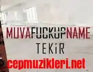 Tekir – Muvafuckupname