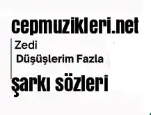 Zedi – Düşüşlerim Fazla