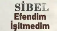 efendim işitmedim bana bir şey mi dedin