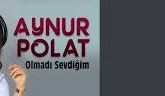 Aynur Polat – Olmadı Sevdiğim