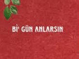 Emre Fel – Bi’ Gün Anlarsın