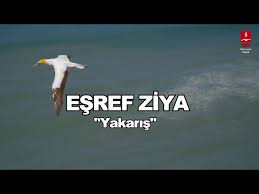 Eşref Ziya – Yakarış