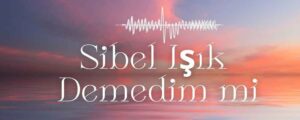 Sibel Işık – Demedim mi