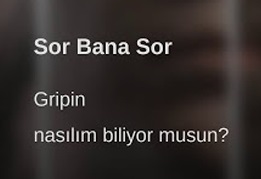 gripin – nasılım biliyor musun