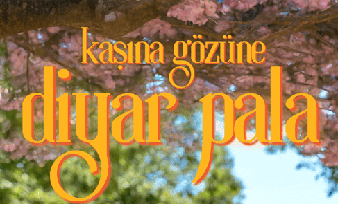Diyar Pala – Kaşına Gözüne