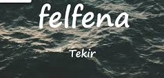 Tekir – FELFENA