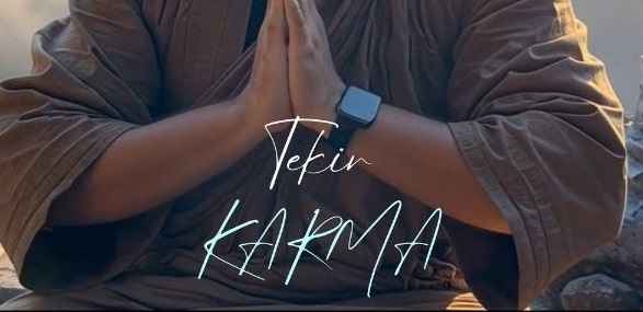 Tekir – KARMA Tekir – KARMA