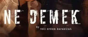 Veli Erdem Karakülah – NE DEMEK