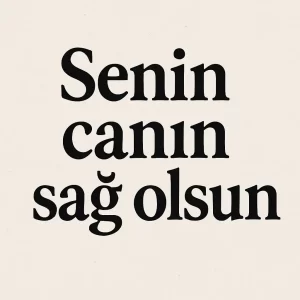 YÜKSEL BALTACI – SENUN CANUN SAĞ OLSUN