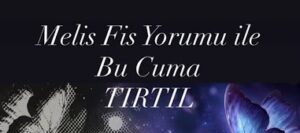 Ayna Melis Fis – Tırtıl