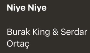 Burak King Serdar Ortaç – Niye Niye