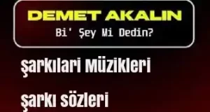 Demet Akalın – Bi’ Şey Mi Dedin mp3 indir