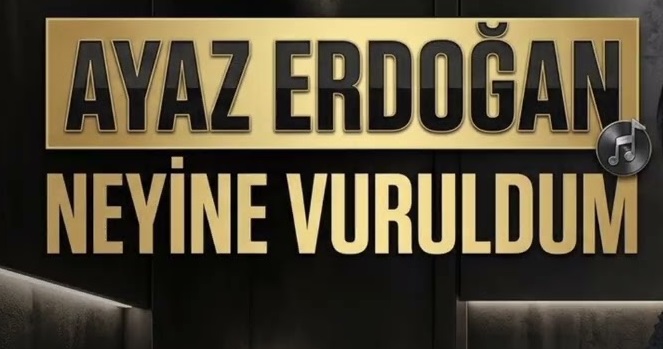 Ayaz Erdoğan – Neyine Vuruldum İçerik