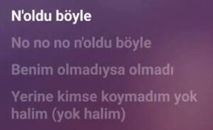 Asil Gök – Noldu Böyle